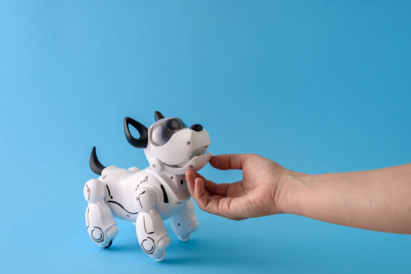 Robotic Pet