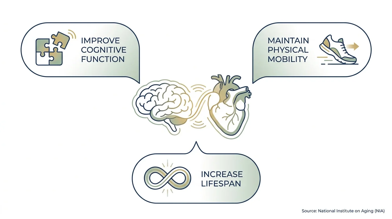 An infographic showing the health benefits of volunteering: improved cognitive function, physical mobility, and increased lifespan.