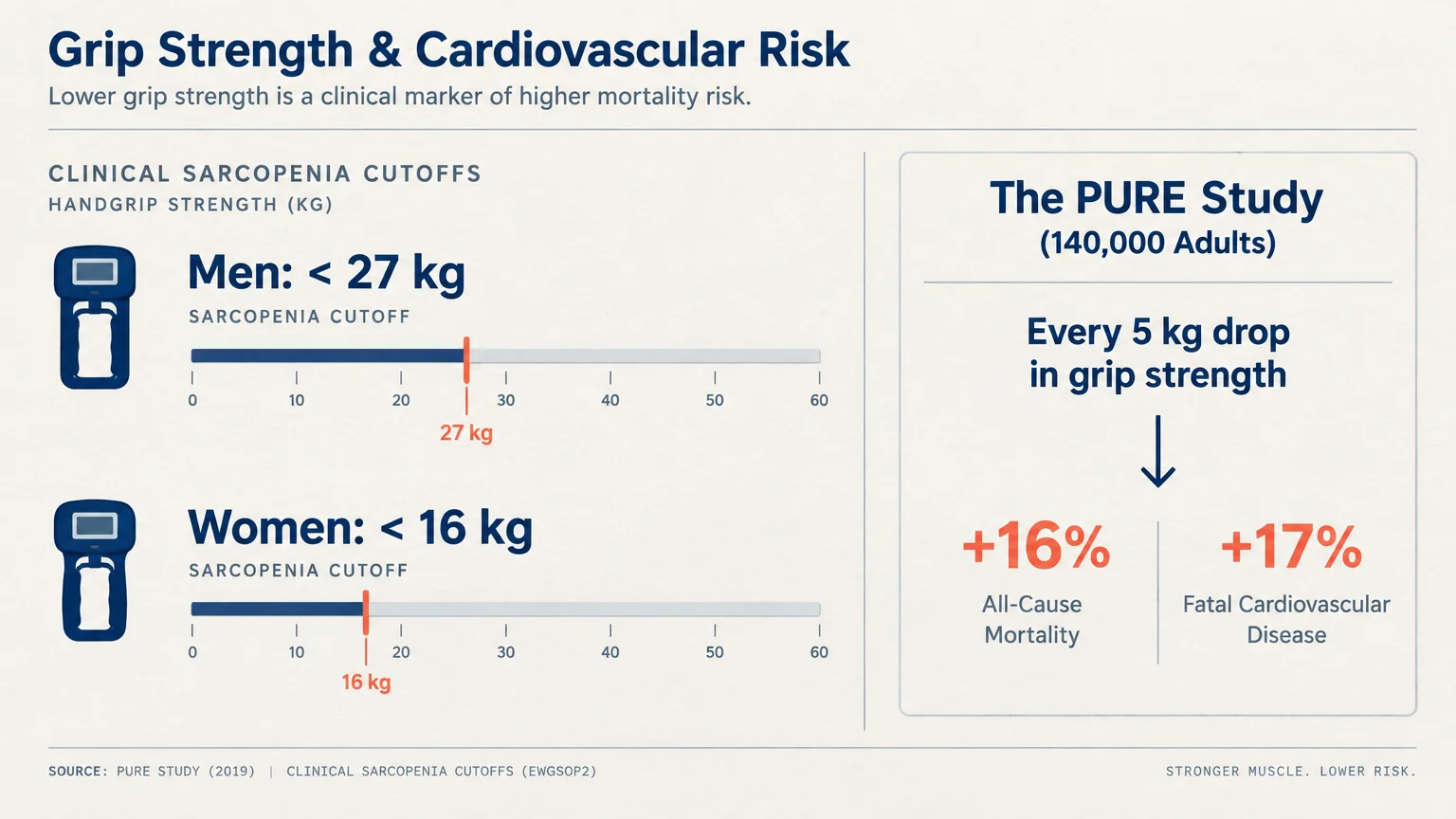 Infographic showing sarcopenia grip strength cutoffs and PURE study mortality risks associated with a 5 kg drop.